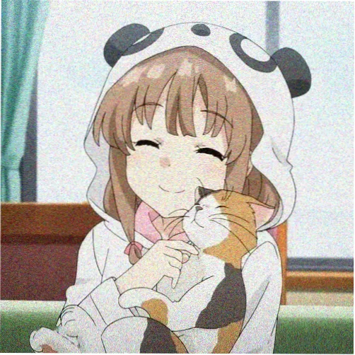 番茄影视